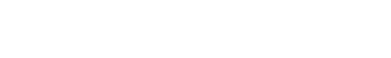 PT. Industri Inspection Service